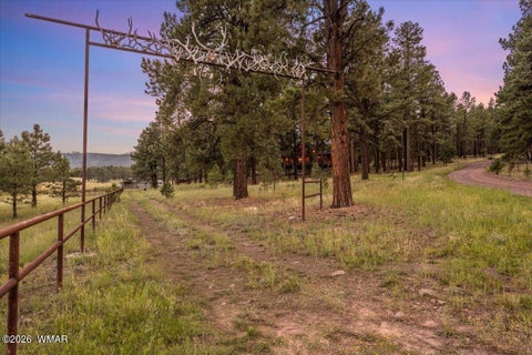 Tiny photo for 36 County Rd 2147, Alpine, AZ 85920 (MLS # 262743)