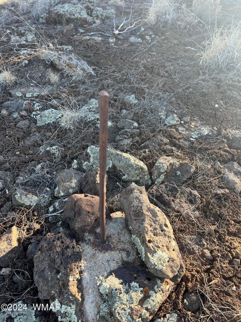 Tiny photo for 2008 Rosa Lane, Show Low, AZ 85901 (MLS # 254877)