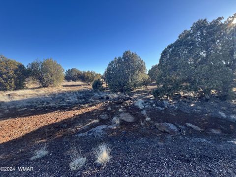 Tiny photo for 2008 Rosa Lane, Show Low, AZ 85901 (MLS # 254877)