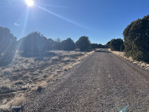 Tiny photo for 2008 Rosa Lane, Show Low, AZ 85901 (MLS # 254877)