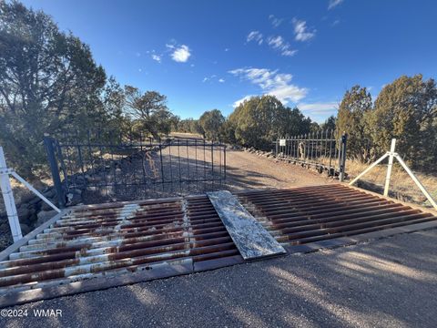 Photo of 2008 Rosa Lane, Show Low, AZ 85901 (MLS # 254877)