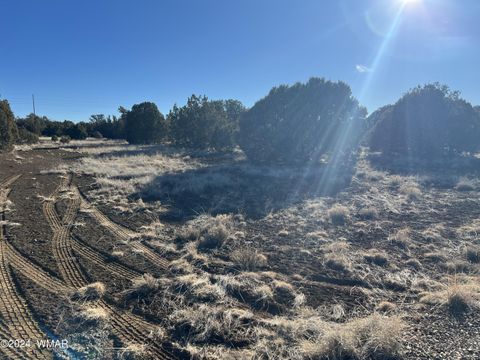 Tiny photo for 2008 Rosa Lane, Show Low, AZ 85901 (MLS # 254877)