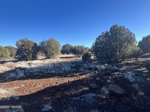 Tiny photo for 2008 Rosa Lane, Show Low, AZ 85901 (MLS # 254877)