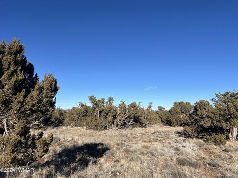 Tiny photo for 2008 Rosa Lane, Show Low, AZ 85901 (MLS # 254877)