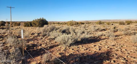 Tiny photo for TBD 110 Acres 180 & 180A, Concho, AZ 85924 (MLS # 259389)