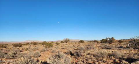 Tiny photo for TBD 110 Acres 180 & 180A, Concho, AZ 85924 (MLS # 259389)