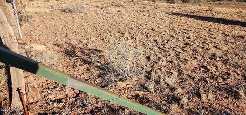 Tiny photo for TBD 110 Acres 180 & 180A, Concho, AZ 85924 (MLS # 259389)