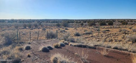 Tiny photo for TBD 110 Acres 180 & 180A, Concho, AZ 85924 (MLS # 259389)