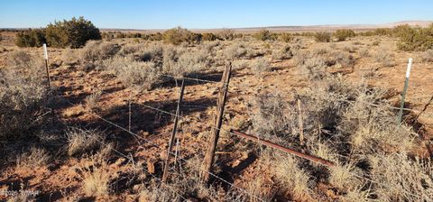 Tiny photo for TBD 110 Acres 180 & 180A, Concho, AZ 85924 (MLS # 259389)
