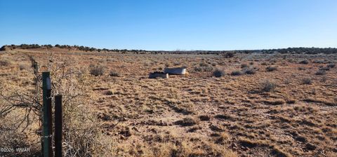 Tiny photo for TBD 110 Acres 180 & 180A, Concho, AZ 85924 (MLS # 259389)