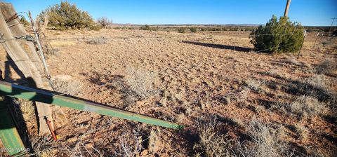 Tiny photo for TBD 110 Acres 180 & 180A, Concho, AZ 85924 (MLS # 259389)