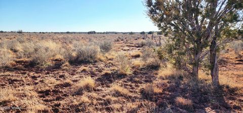 Tiny photo for TBD 110 Acres 180 & 180A, Concho, AZ 85924 (MLS # 259389)