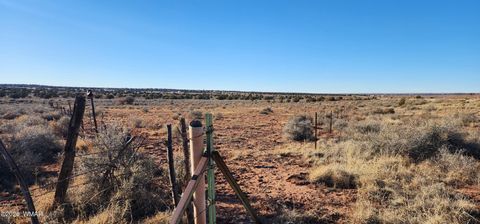 Tiny photo for TBD 110 Acres 180 & 180A, Concho, AZ 85924 (MLS # 259389)