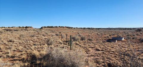 Tiny photo for TBD 110 Acres 180 & 180A, Concho, AZ 85924 (MLS # 259389)