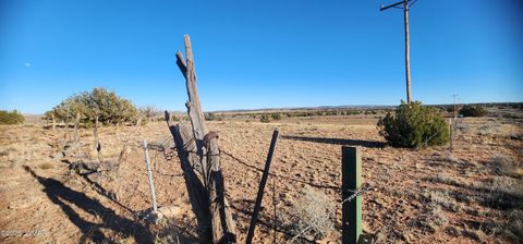 Tiny photo for TBD 110 Acres 180 & 180A, Concho, AZ 85924 (MLS # 259389)