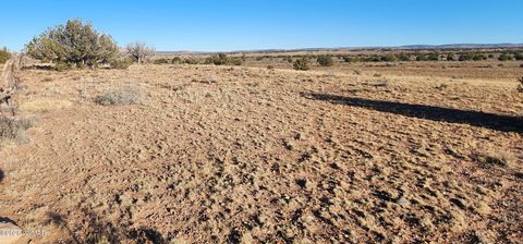 Tiny photo for TBD 110 Acres 180 & 180A, Concho, AZ 85924 (MLS # 259389)