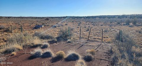 Tiny photo for TBD 110 Acres 180 & 180A, Concho, AZ 85924 (MLS # 259389)