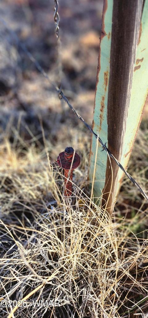 Tiny photo for TBD 110 Acres 180 & 180A, Concho, AZ 85924 (MLS # 259389)