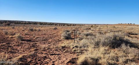Tiny photo for TBD 110 Acres 180 & 180A, Concho, AZ 85924 (MLS # 259389)