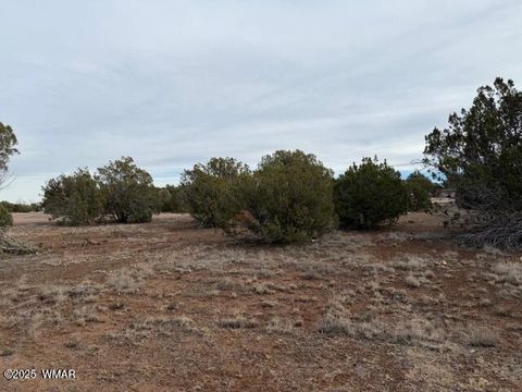 Tiny photo for 1834 Bourdon Street, Show Low, AZ 85901 (MLS # 258987)