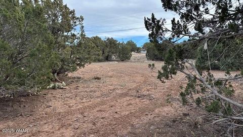 Tiny photo for 1834 Bourdon Street, Show Low, AZ 85901 (MLS # 258987)