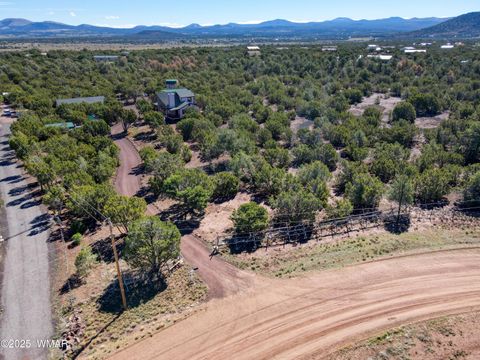 Tiny photo for 177 Palomino Circle, Vernon, AZ 85940 (MLS # 258338)