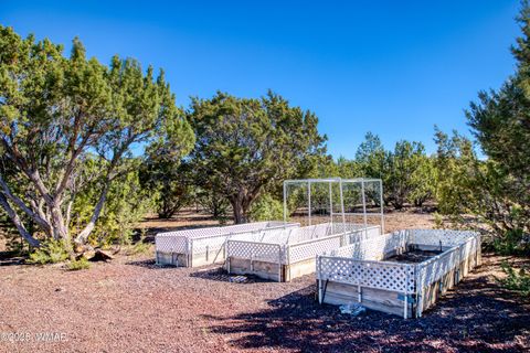 Tiny photo for 177 Palomino Circle, Vernon, AZ 85940 (MLS # 258338)