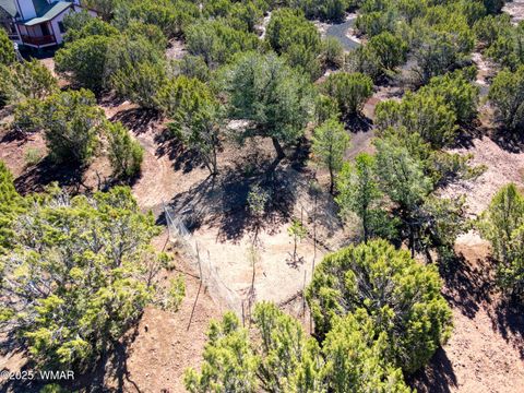 Tiny photo for 177 Palomino Circle, Vernon, AZ 85940 (MLS # 258338)