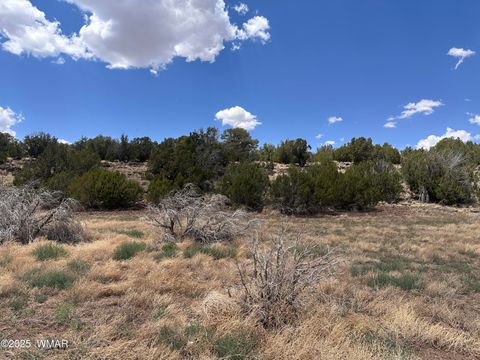 Tiny photo for 13 County Rd 8122, Concho, AZ 85924 (MLS # 256828)
