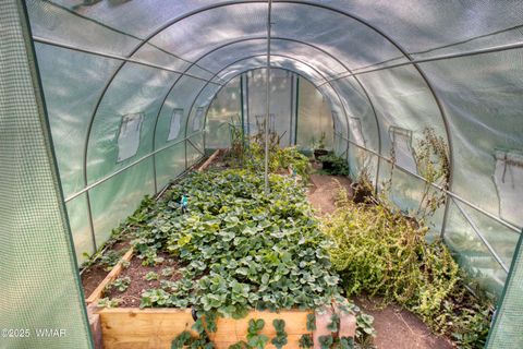 Tiny photo for 537 W Billy Creek Drive, Lakeside, AZ 85929 (MLS # 258494)