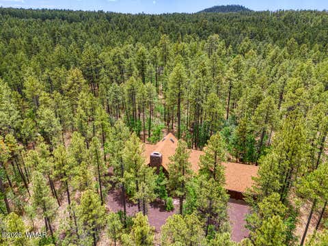 Tiny photo for 2735 Bobcat Gulch, Pinetop, AZ 85935 (MLS # 261441)