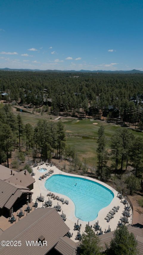 Tiny photo for 350 N Verbena Lane, Show Low, AZ 85901 (MLS # 258947)