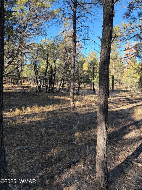 Tiny photo for 350 N Verbena Lane, Show Low, AZ 85901 (MLS # 258947)