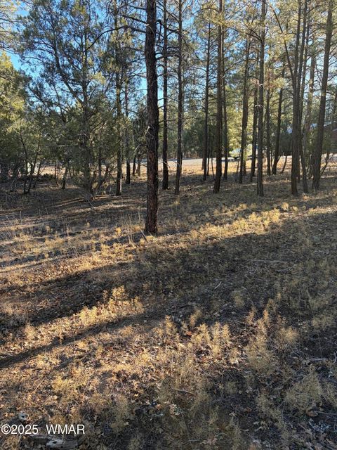 Tiny photo for 350 N Verbena Lane, Show Low, AZ 85901 (MLS # 258947)