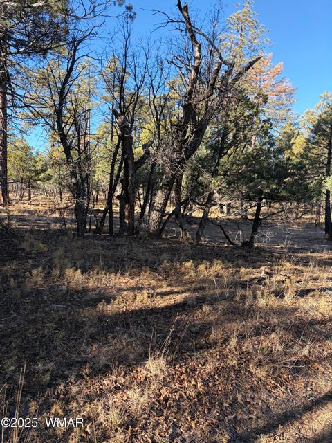 Tiny photo for 350 N Verbena Lane, Show Low, AZ 85901 (MLS # 258947)