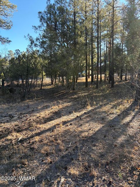 Tiny photo for 350 N Verbena Lane, Show Low, AZ 85901 (MLS # 258947)