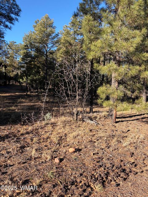 Tiny photo for 350 N Verbena Lane, Show Low, AZ 85901 (MLS # 258947)