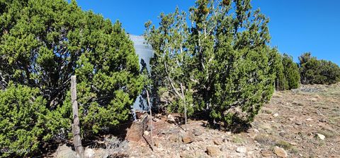 Tiny photo for 85 N 8522, Concho, AZ 85924 (MLS # 258348)