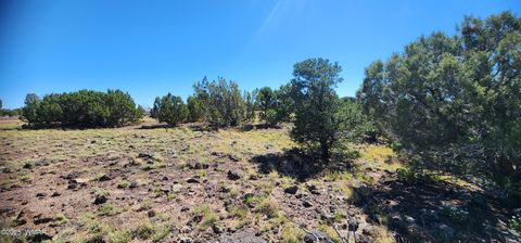 Tiny photo for 85 N 8522, Concho, AZ 85924 (MLS # 258348)