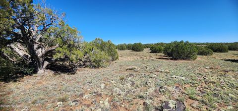 Tiny photo for 85 N 8522, Concho, AZ 85924 (MLS # 258348)