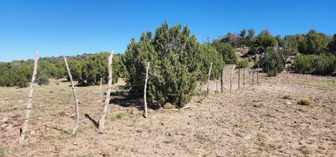 Tiny photo for 85 N 8522, Concho, AZ 85924 (MLS # 258348)