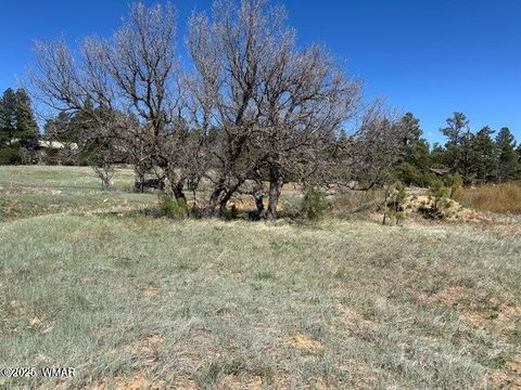 Tiny photo for 1301 Lakeside Trail #TL2 Lot 33, Show Low, AZ 85901 (MLS # 256521)