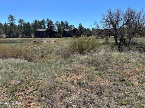 Tiny photo for 1301 Lakeside Trail #TL2 Lot 33, Show Low, AZ 85901 (MLS # 256521)