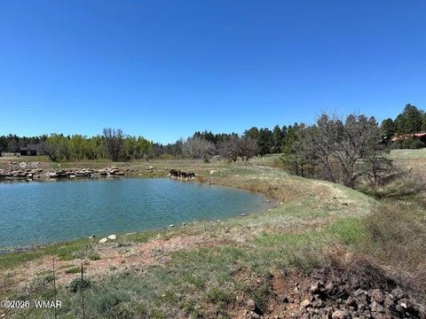 Tiny photo for 1301 Lakeside Trail #TL2 Lot 33, Show Low, AZ 85901 (MLS # 256521)