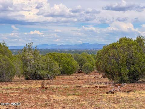 Tiny photo for 8063 Mustang Ln 10 Acres LN, Show Low, AZ 85901 (MLS # 262612)
