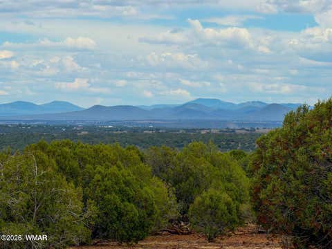Tiny photo for 8063 Mustang Ln 10 Acres LN, Show Low, AZ 85901 (MLS # 262612)