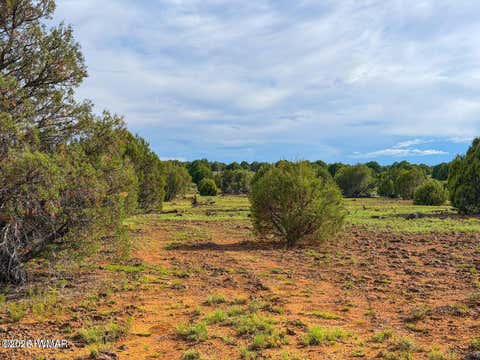 Tiny photo for 8063 Mustang Ln 10 Acres LN, Show Low, AZ 85901 (MLS # 262612)