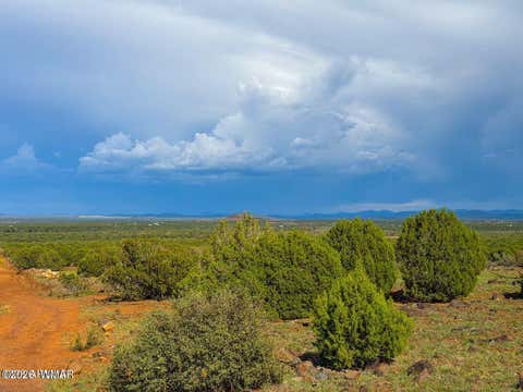 Tiny photo for 8063 Mustang Ln 10 Acres LN, Show Low, AZ 85901 (MLS # 262612)