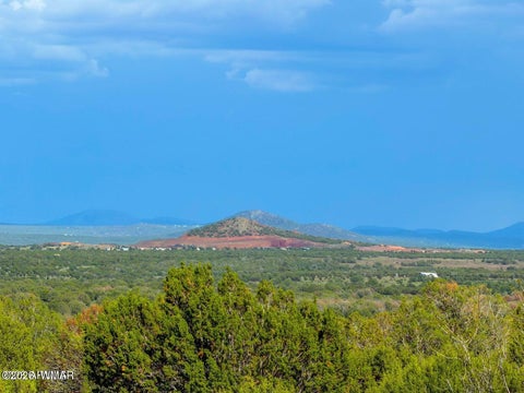 Tiny photo for 8063 Mustang Ln 10 Acres LN, Show Low, AZ 85901 (MLS # 262612)