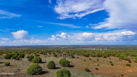 Tiny photo for 8063 Mustang Ln 10 Acres LN, Show Low, AZ 85901 (MLS # 262612)